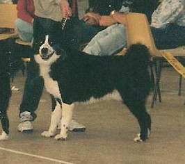 Fjord de la Côte des Lutins