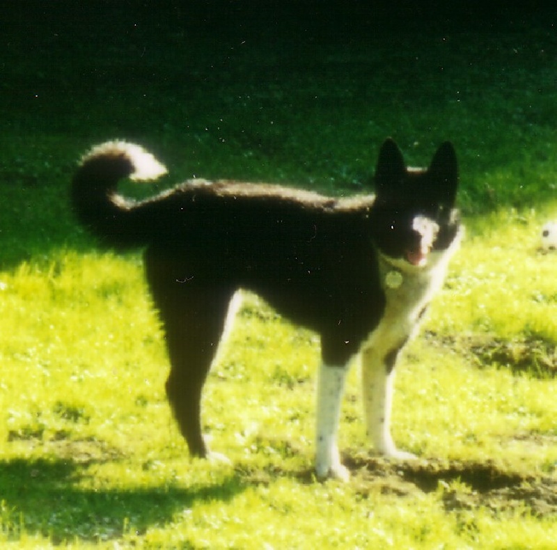 Naomi de la Côte des Lutins