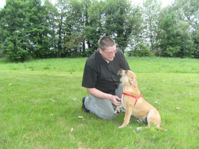 Publication : hasta siempre Auteur : nicolas derambure