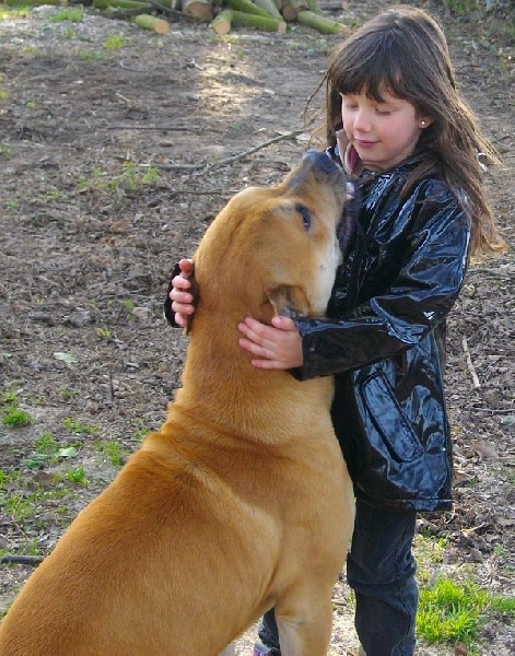 Publication : hasta siempre Auteur : nicolas derambure