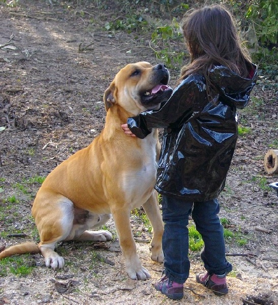 Publication : hasta siempre Auteur : nicolas derambure