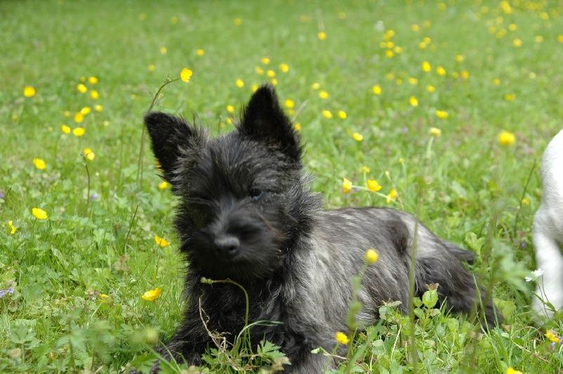 Publication : de la pinkinerie