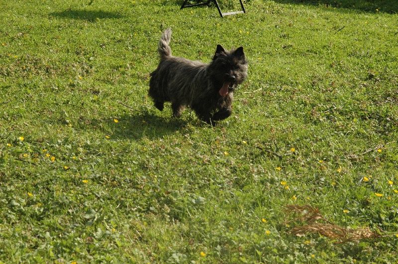 Publication : de la pinkinerie