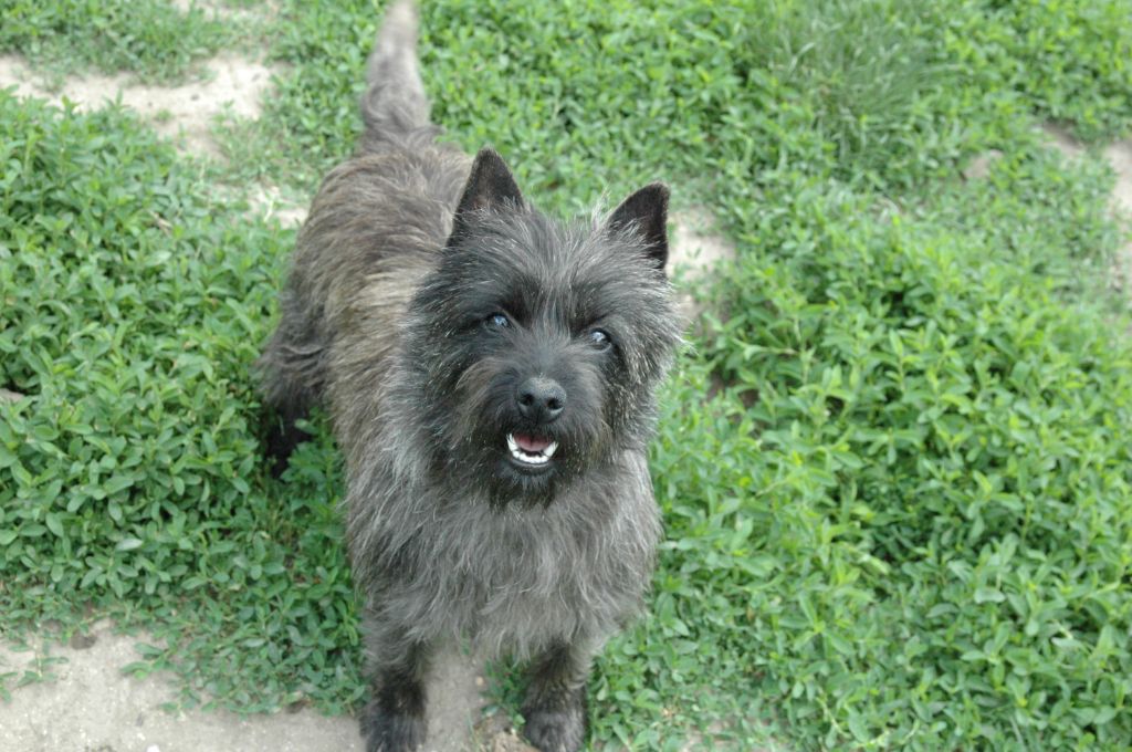 Noumea de la pinkinerie - 2ème excellent classe jeune