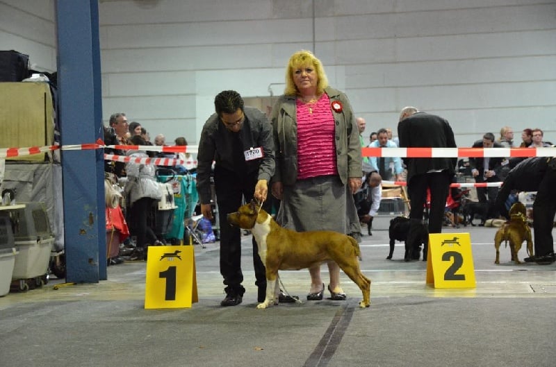 Publication : du temple de Gaïa