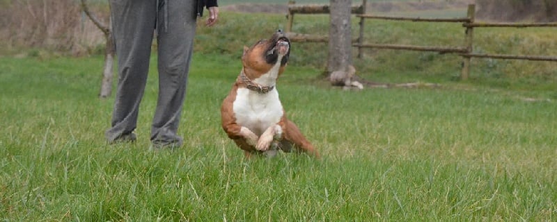 Publication : du temple de Gaïa