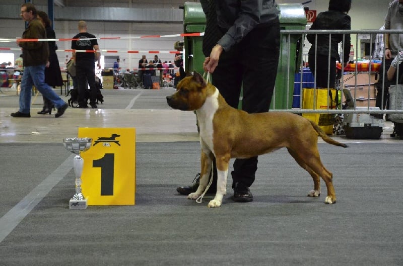 Publication : du temple de Gaïa