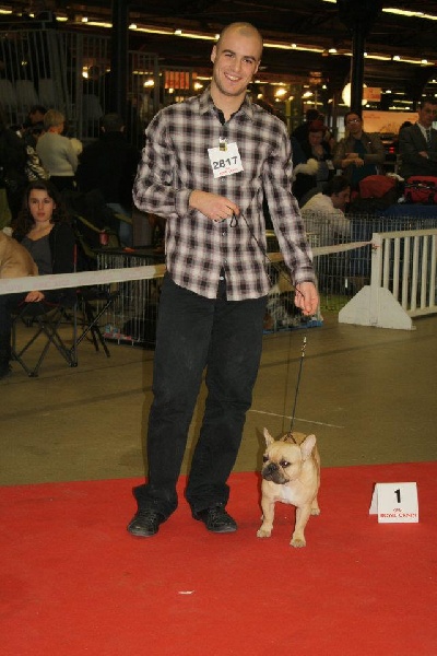 Gour'mandise ciara du Royaume des Mogwaïs - 1er Excellent