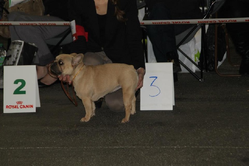 Gour'mandise ciara du Royaume des Mogwaïs - 3 eme exellent