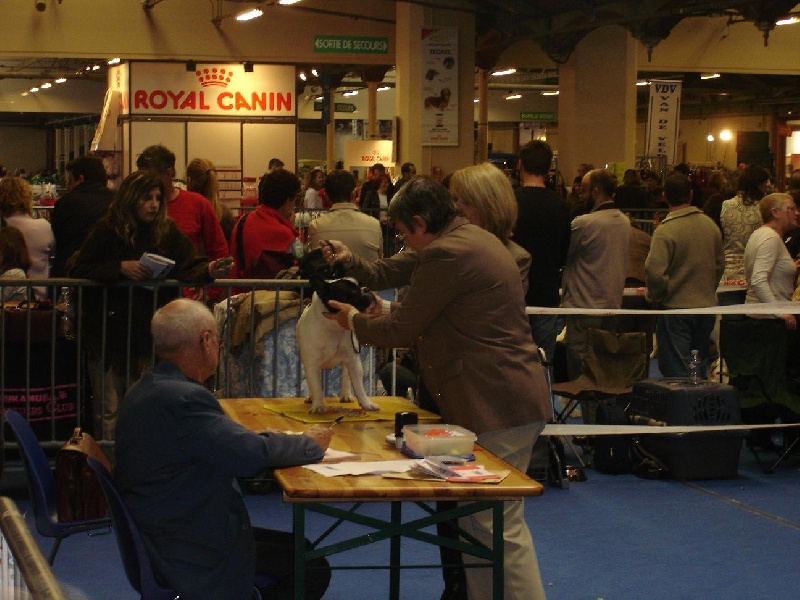 Vasko des rivières pourpres - 3 e EXCELLENT CLASSE OUVERTE