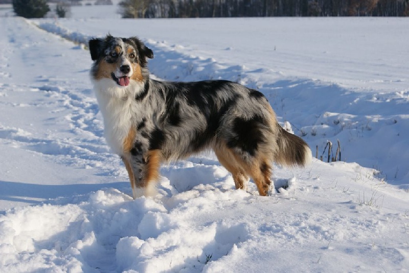 Publication : Daouphars