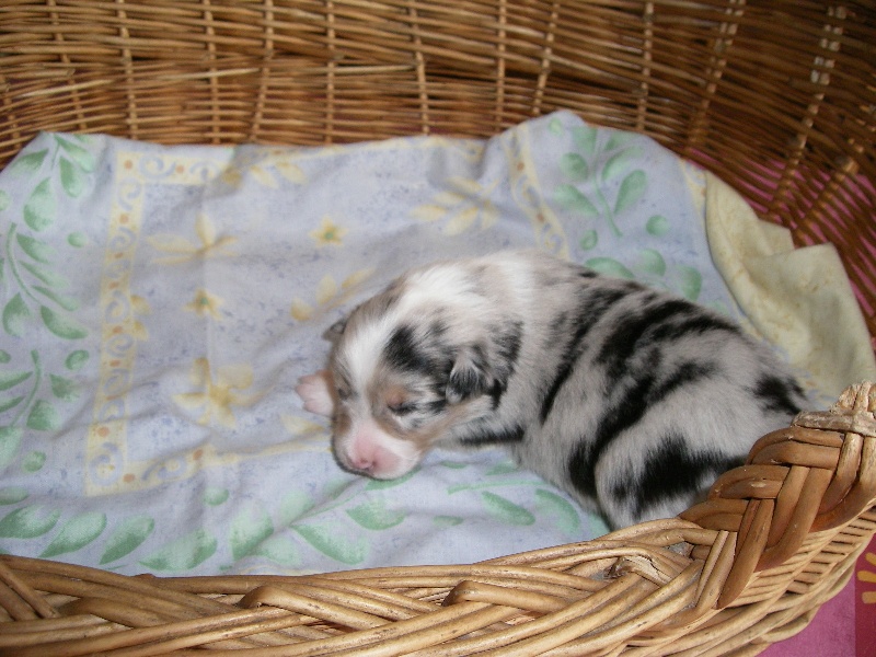 Publication : Daouphars