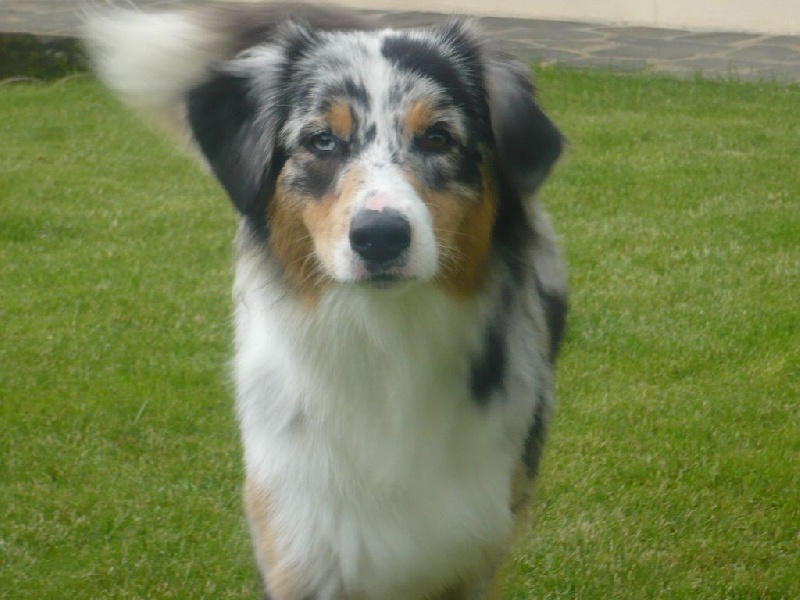 Publication : Daouphars