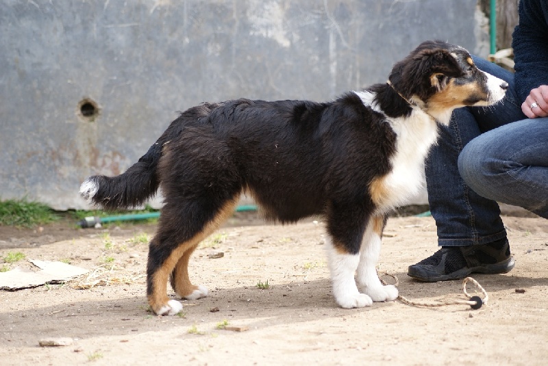 Publication : Daouphars Auteur : Daouphars