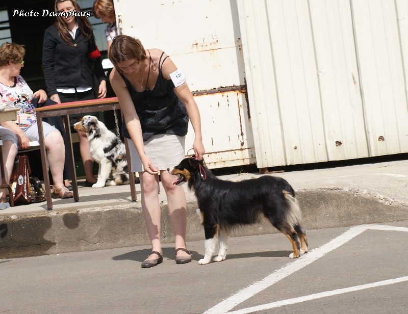 Fairlady veilside Daouphars - 2ème excellent (jeune)