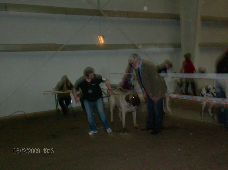 Publication : des Mastiffs d'Enfer