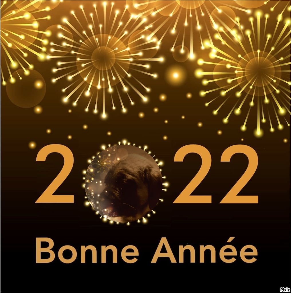 Publication : des Mastiffs d'Enfer