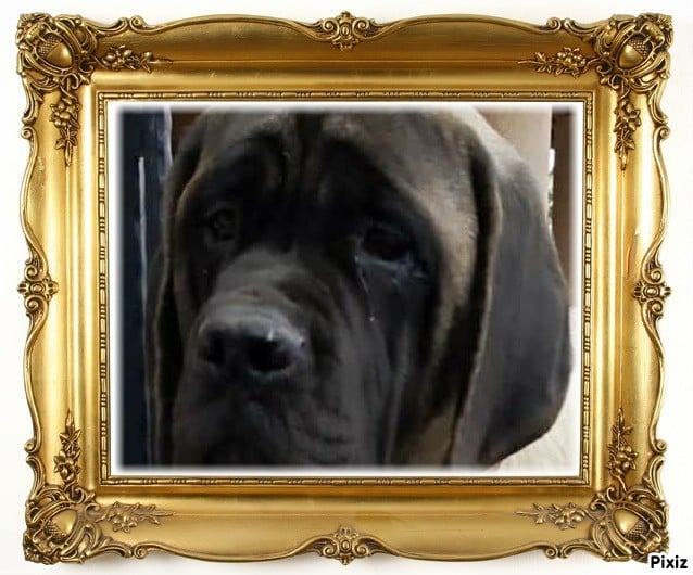 Zsambok denfer korosdombi