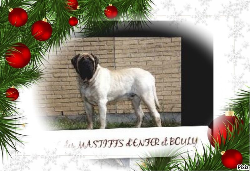 Publication : des Mastiffs d'Enfer