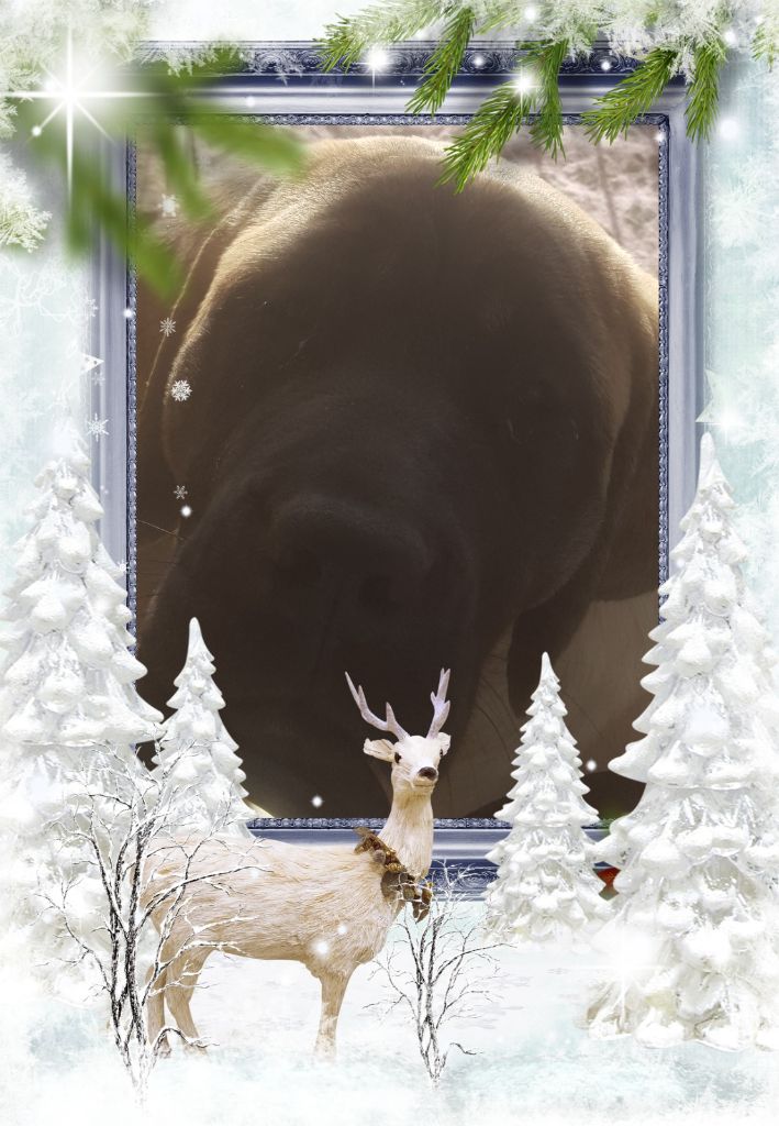 Publication : des Mastiffs d'Enfer