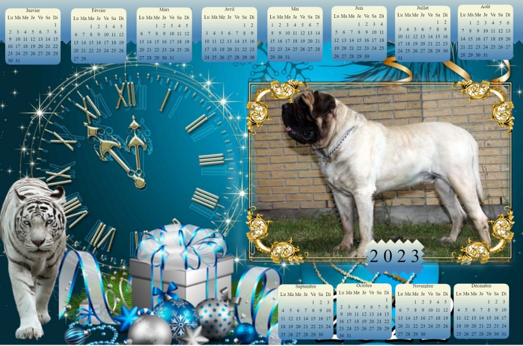 Publication : des Mastiffs d'Enfer