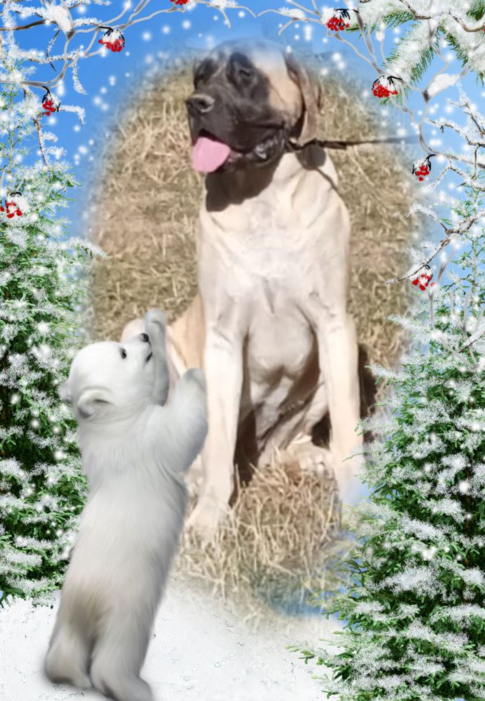 Publication : des Mastiffs d'Enfer