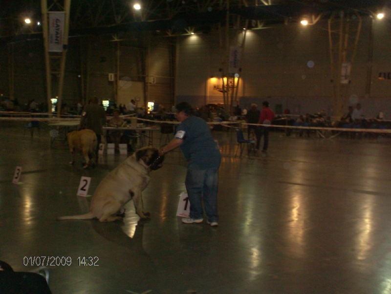 Publication : des Mastiffs d'Enfer