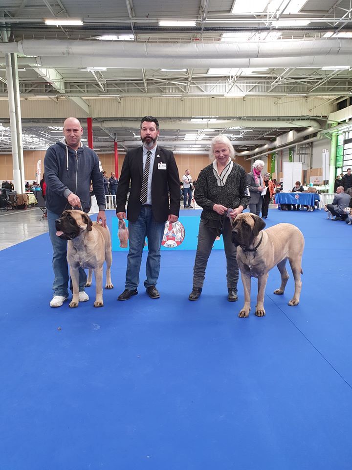 Publication : Des Molosses De Beaupuits