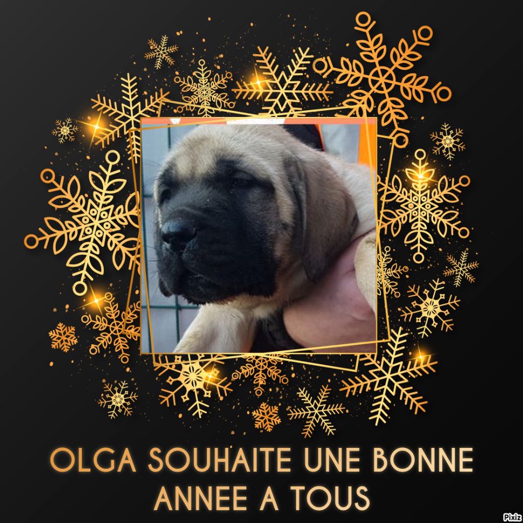 Publication : Des Molosses De Beaupuits