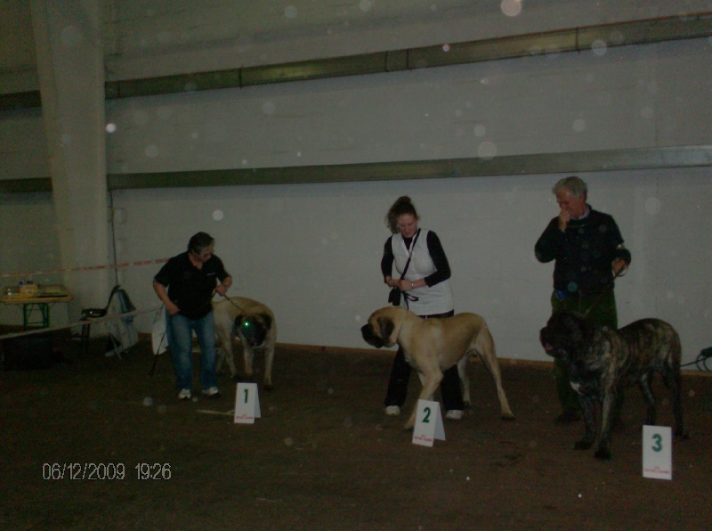 Publication : des Mastiffs d'Enfer