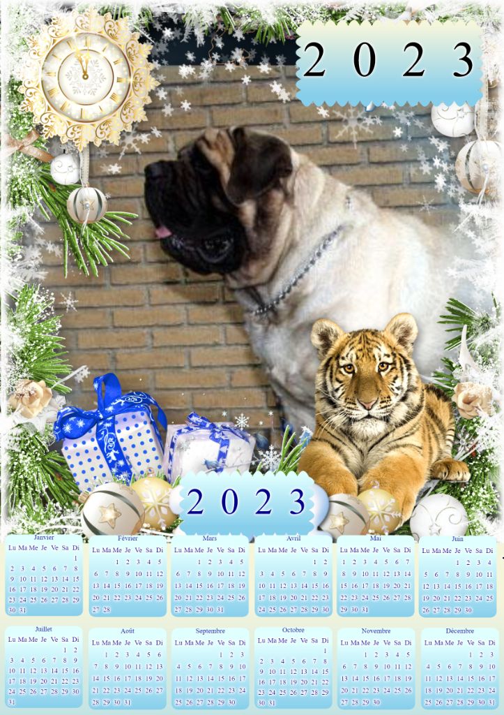 Publication : des Mastiffs d'Enfer