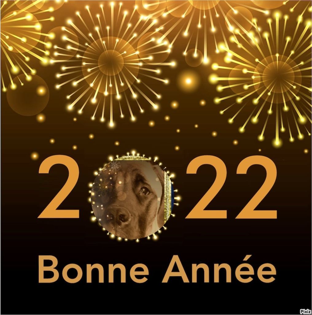 Publication : Des Molosses De Beaupuits