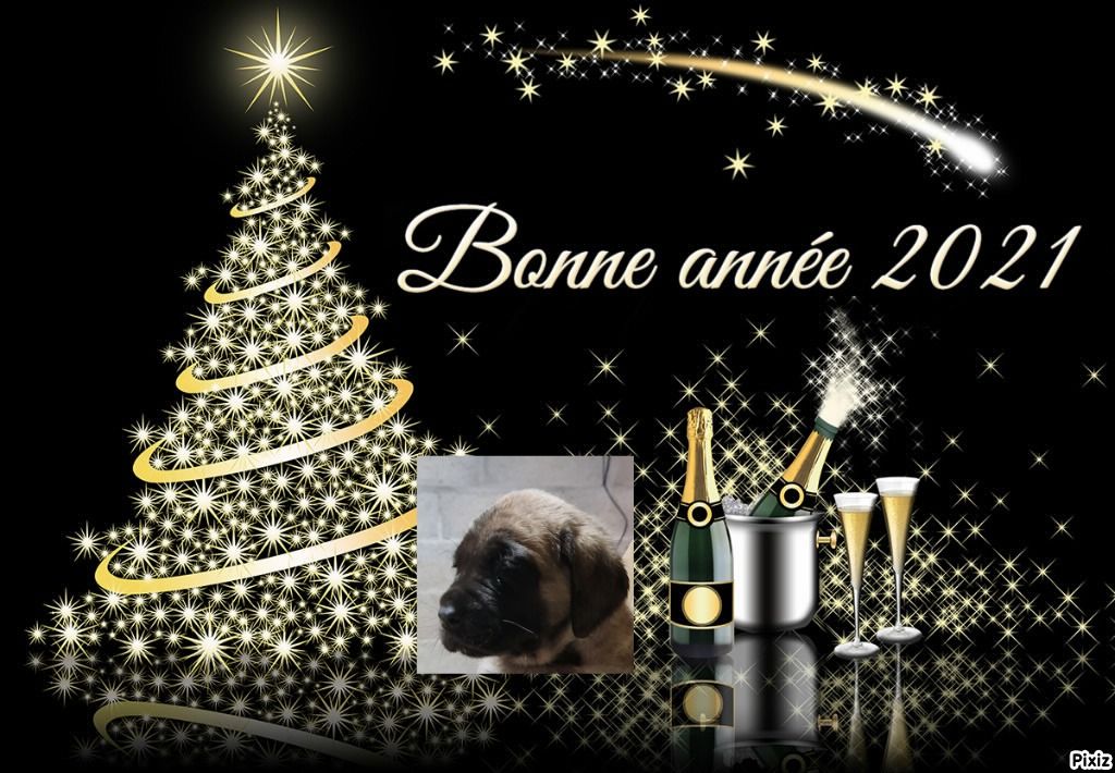 Publication : des Mastiffs d'Enfer