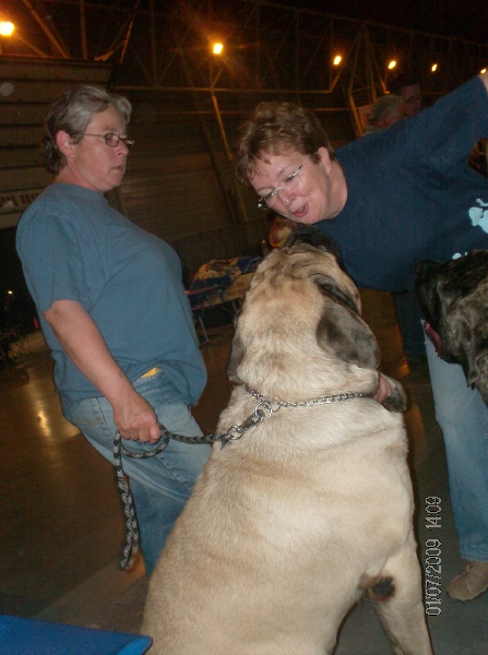 Publication : des Mastiffs d'Enfer