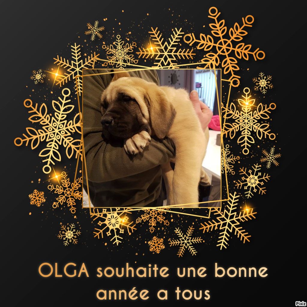 Publication : Des Molosses De Beaupuits