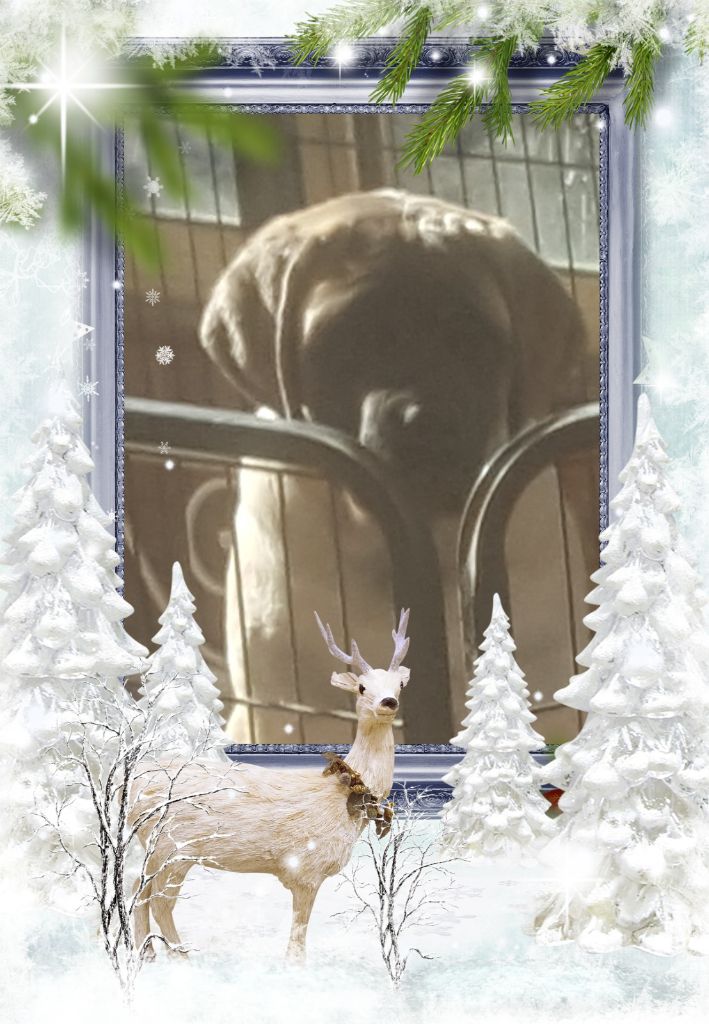 Publication : des Mastiffs d'Enfer