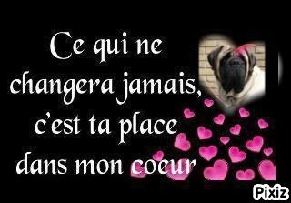 Publication : des Mastiffs d'Enfer