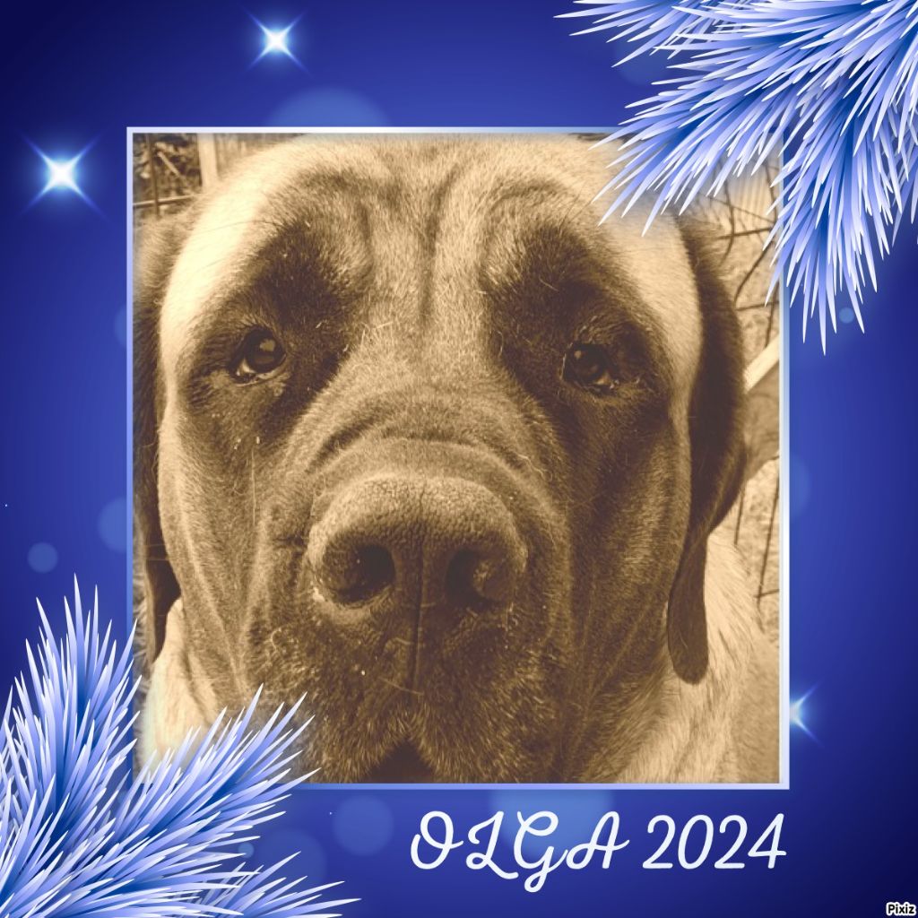 Publication : Des Molosses De Beaupuits