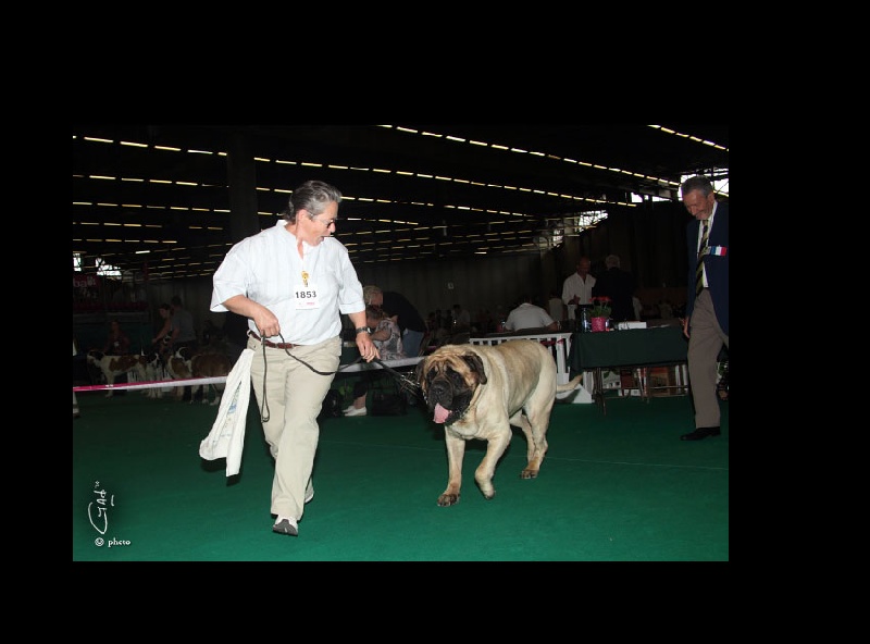 CH. Bachkir de volzac - 3EME EXCELLENT