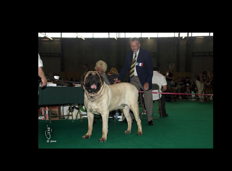 CH. Bachkir de volzac - TRES BON