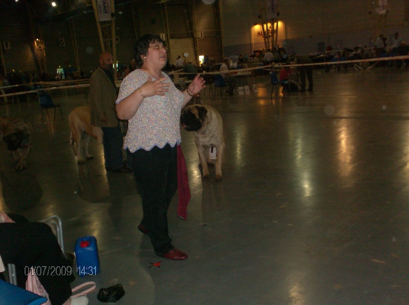 CH. Bachkir de volzac - EXCELLENT