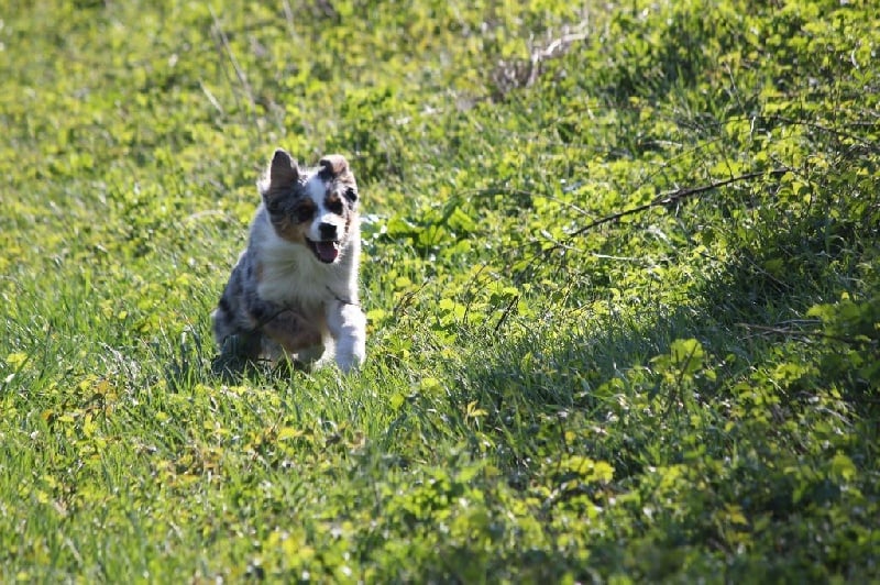 Publication : Des plaines du Montois Auteur : Angélica RAGEADE