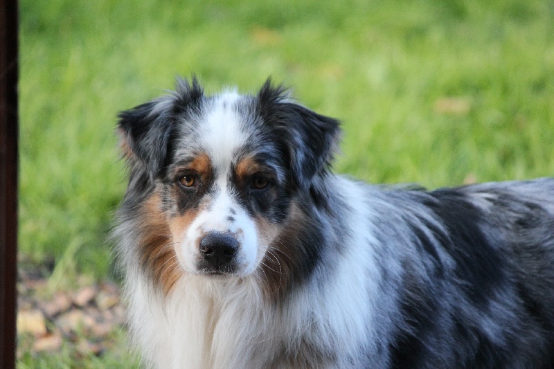 Publication : Des plaines du Montois Auteur : Angélica RAGEADE