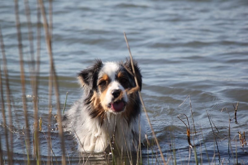 Publication : Des plaines du Montois Auteur : Angélica RAGEADE