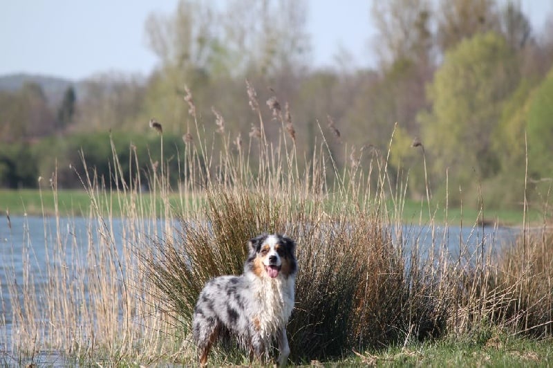 Publication : Des plaines du Montois Auteur : Angélica RAGEADE
