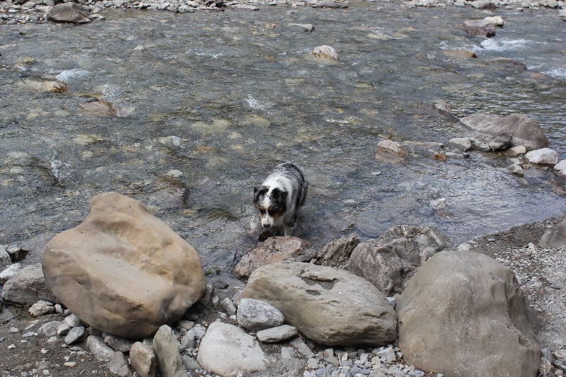 Publication : Des plaines du Montois Auteur : Angélica RAGEADE