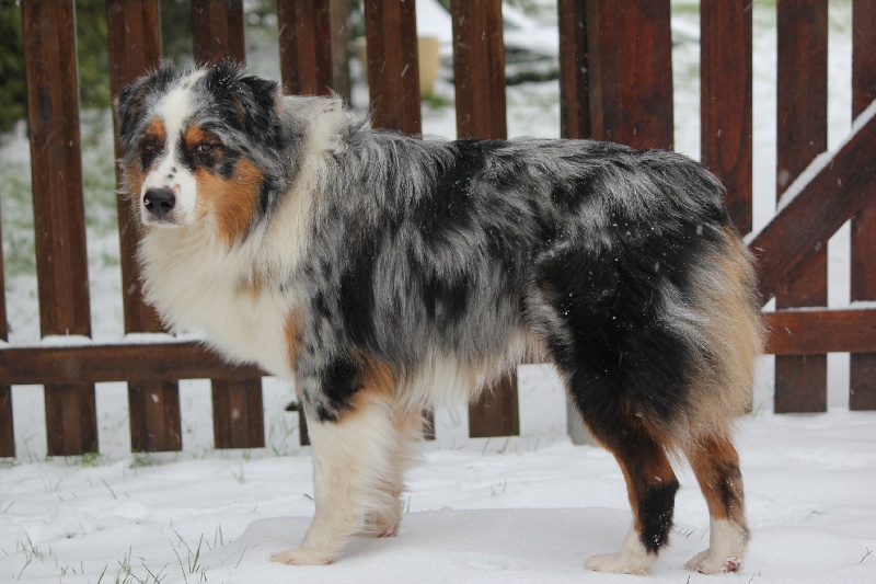 Publication : Des plaines du Montois Auteur : Angélica RAGEADE