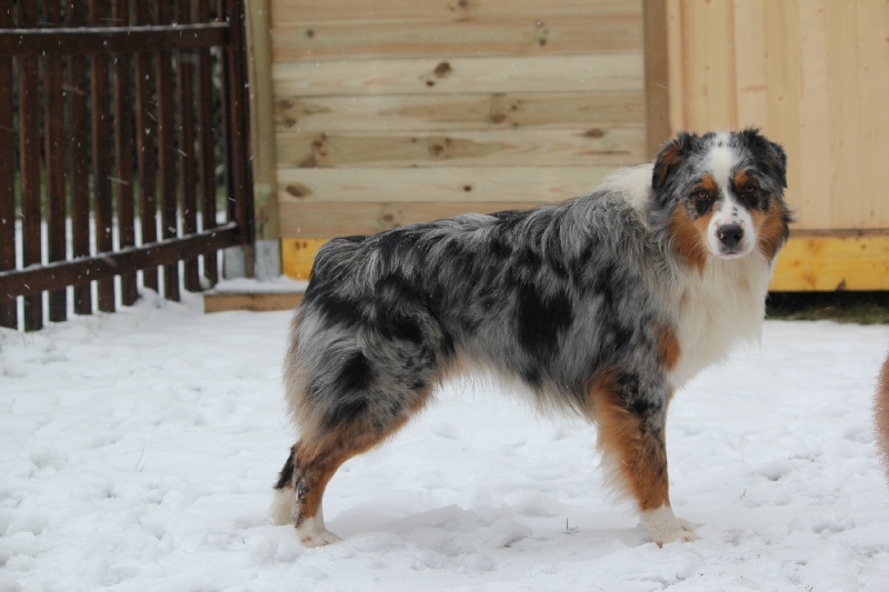 Publication : Des plaines du Montois Auteur : Angélica RAGEADE