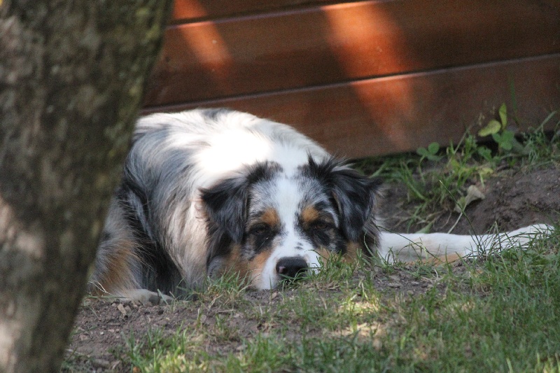 Publication : Des plaines du Montois Auteur : Angélica RAGEADE