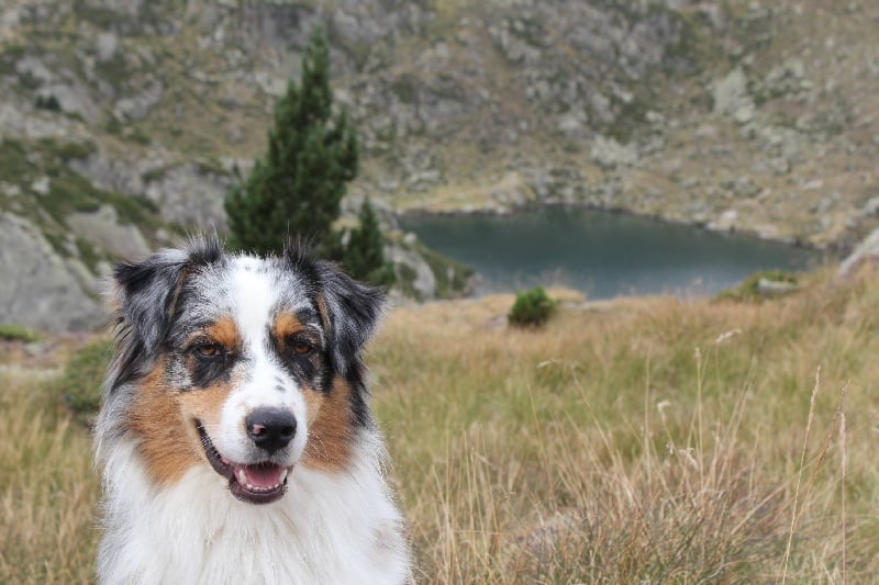 Publication : Des plaines du Montois Auteur : Angélica RAGEADE